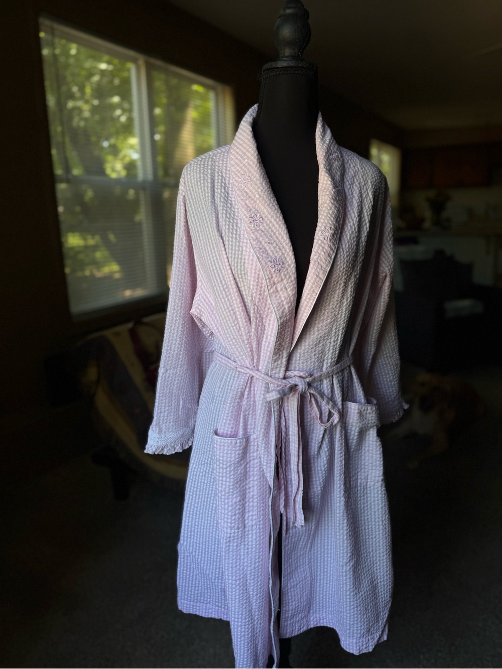 Miss Elaine Light Pink Ginhgham Robe with Shawl Collar and Belt